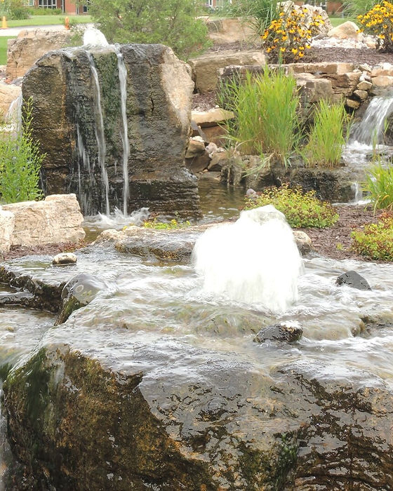 Modern+pond+in+Middleton+WI.jpe_format=1