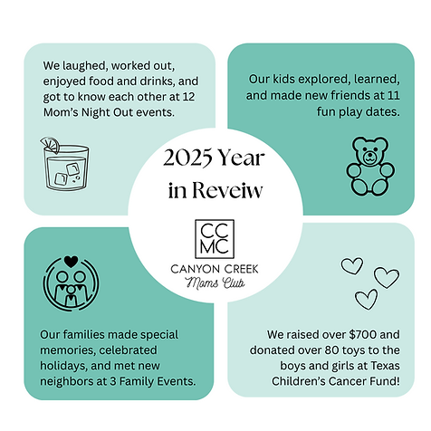 CCMC 2025 Year in Review.png