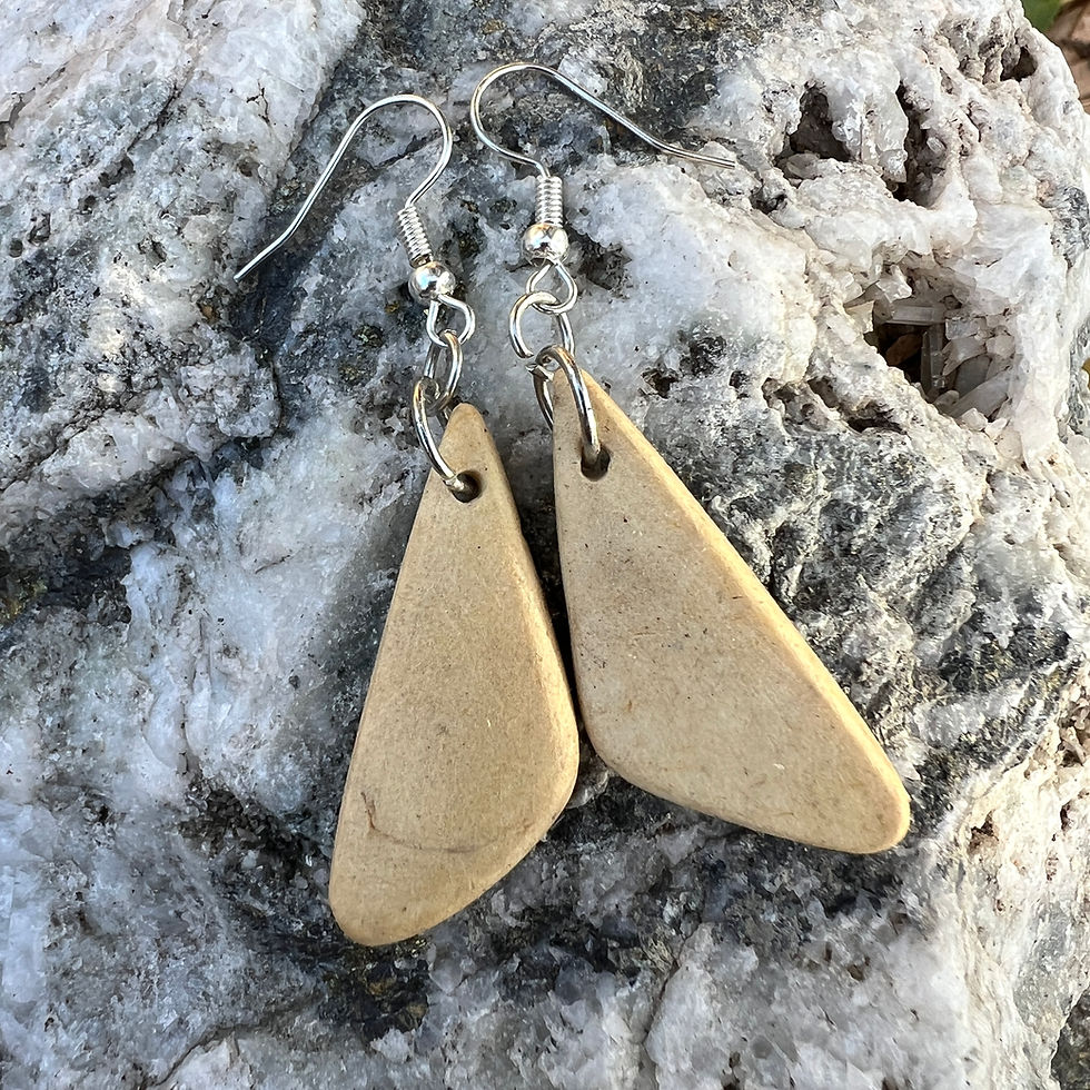 Thumbnail: Wingdeco Earrings