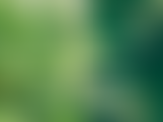 Our Most Valuable Assets