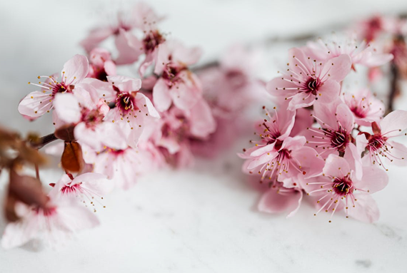 The Less You Own, The Less Owns You