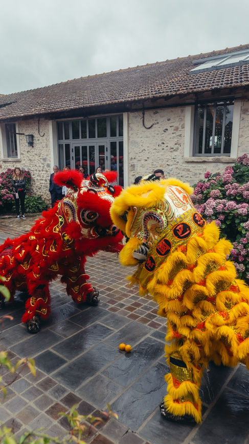 Photo avec mascotte chinoise