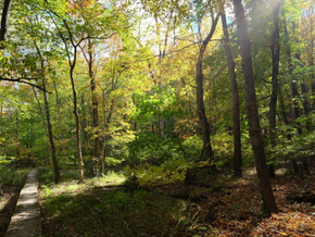 Pomerance & Tuchman Master plan Hearing Dec 13 6 pm