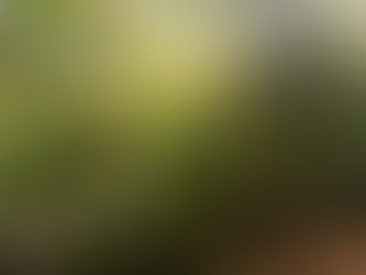 Pomerance & Tuchman Master plan Hearing Dec 13 6 pm