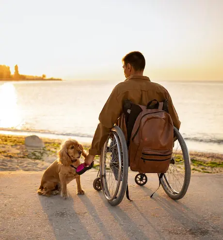 therapycollective_wheelchair.webp