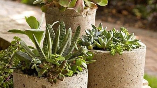 Set in Stone: Hypertufa Planters and Pavers