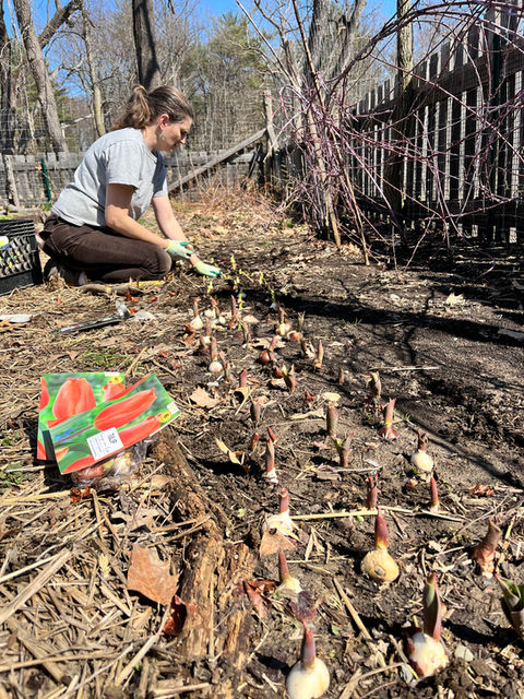 Photo Apr 05, 2 29 36 PM.jpg