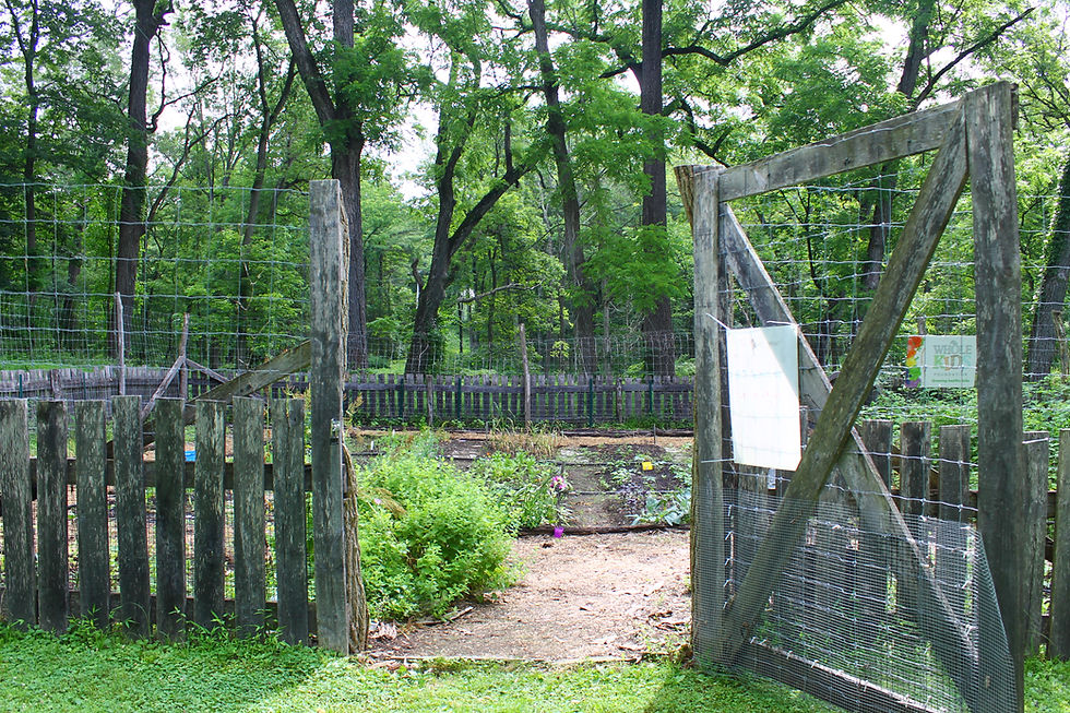 Gate to the Harvesting History teaching garden, located near Sylvan Cottage