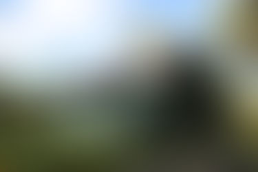 Food Drive made possible through Friends of Clermont, Clermont State Historic Site, and the Regional Food Bank of Northeastern New York partnership