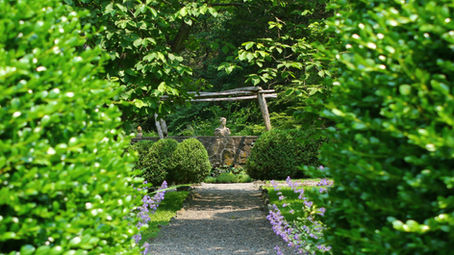 7 things we’re excited about