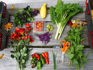 Harvesting History 2025 Scrapbook