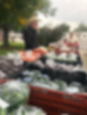 IMG_0009.jpeg