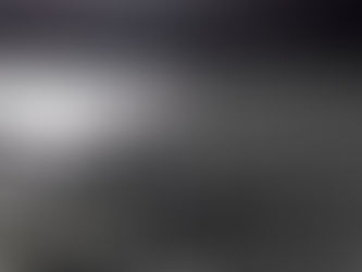 Mir ist kalt, fahren wir ans Meer, sagt der Bär...