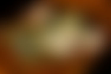 stellt euch vor, es ist Ausstellungseröffnung und keiner geht hin...