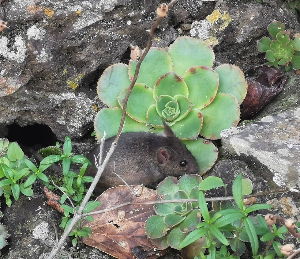 2020: inspirierende Farben und Formen