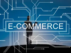 Importance of Data Entry in Ecommerce business