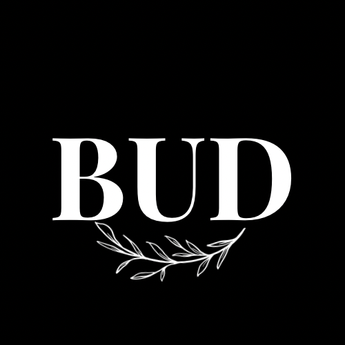 Writer: BudBound