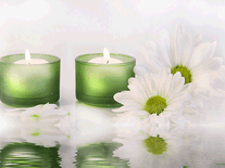 Green Relax Screensaver Crack With License Code