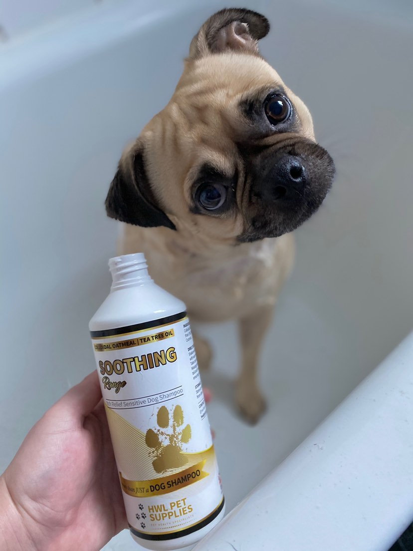 New Oatmeal Tea Tree Oil Dog Shampoo Hwl Pet Supplies