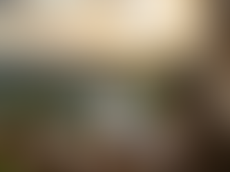 Woman on a balcony using a laptop during sunset, surrounded by potted plants. Background shows a coastline and scattered houses. Peaceful mood.