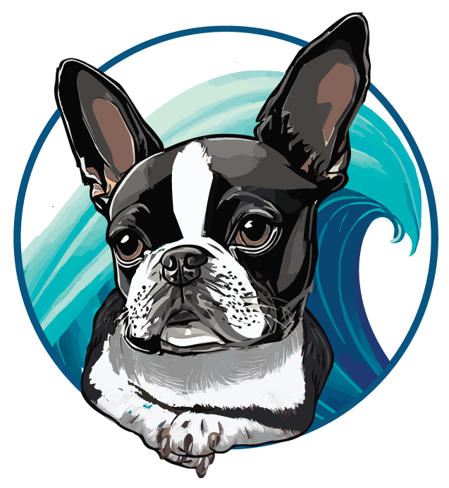 Home Very Important Pooch Specialty Pet Store Myrtle Beach