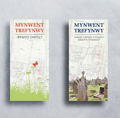 Welsh-Cemetery-leaflets.jpg