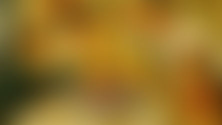 BE CAREFUL...THEMS FIGHTIN' WORDS