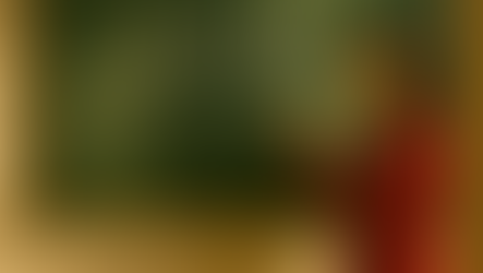 HOW TO BE HUMAN: HOLIDAY EDITION