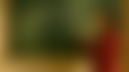 HOW TO BE HUMAN: HOLIDAY EDITION