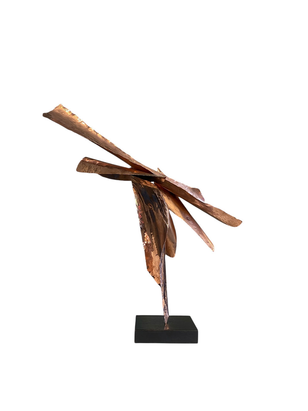 Erica Larkin Gaudet ELEVATE