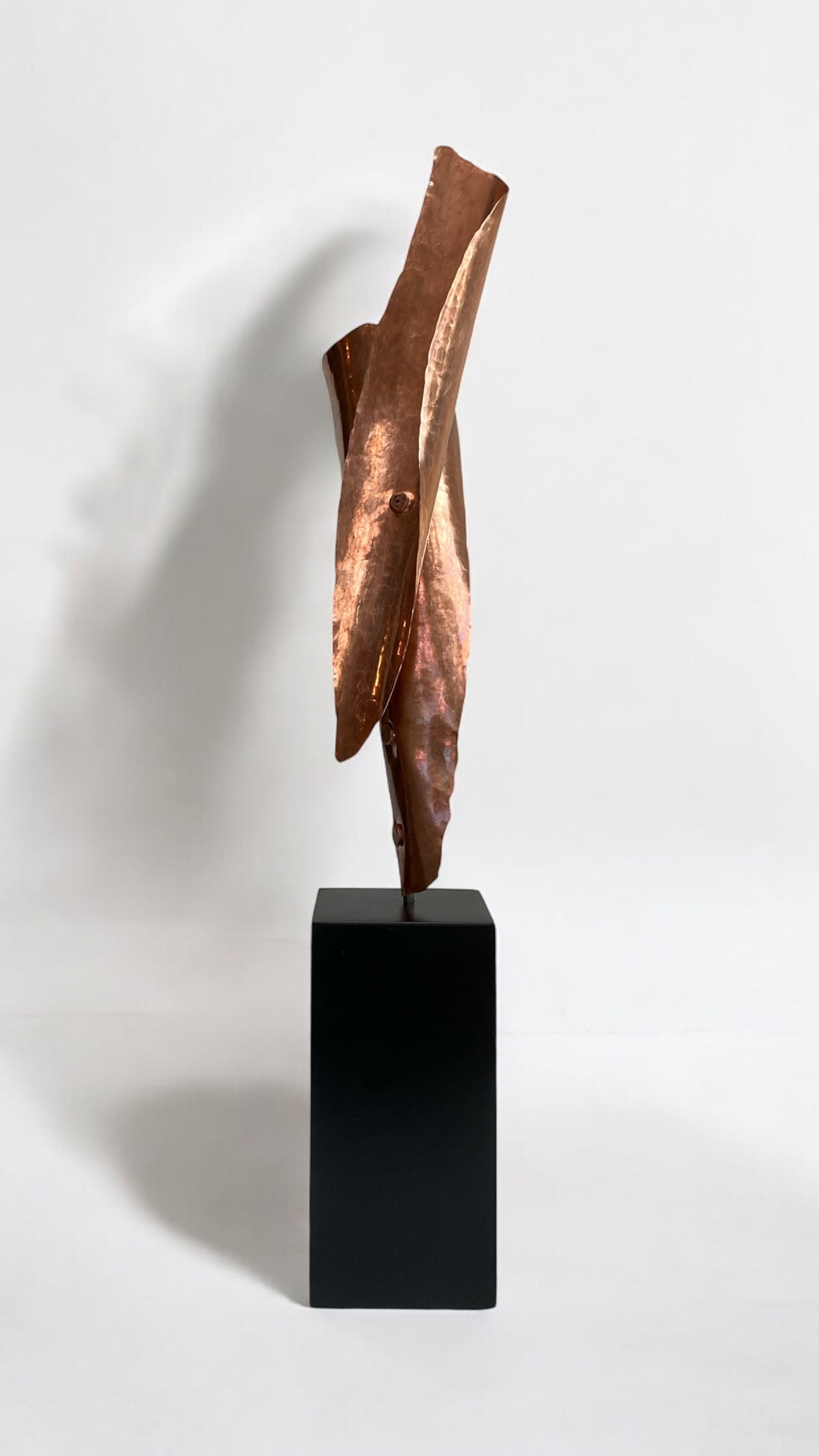 Erica Larkin Gaudet - Bird Study Maquette #7