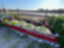 IMG_6663.jpeg