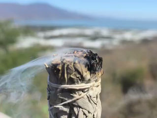 El Poder del Humo de las Plantas: Un Ritual Cotidiano