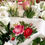 Thumbnail: Roses