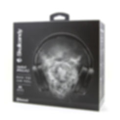 Headphones 2.jpeg