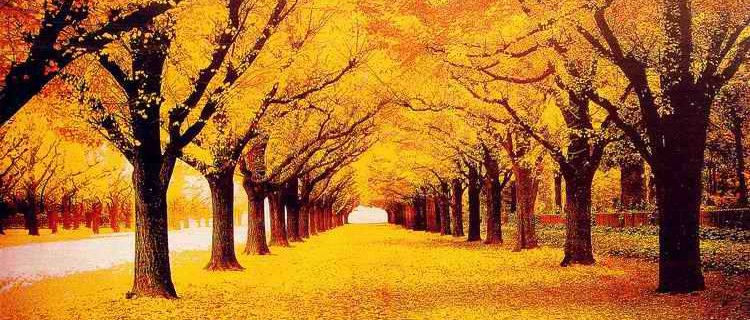 5 Reasons to Love Fall