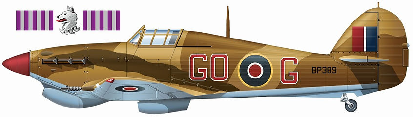 94 Sqdn Hurricane Profile.jpg