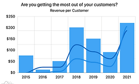 Revenue per Customer