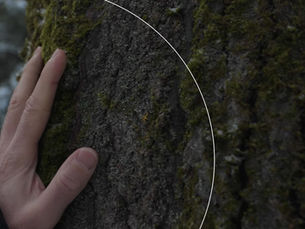 Two Months into 2021, the Branded Content Trajectory is Flat ...but it's a Bumpy Ride by Sector