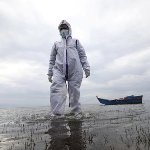 Il virus più antico mai risvegliato