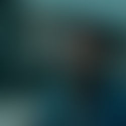 Dogman o Lazzaro Felice?L’epopea del miglior film straniero