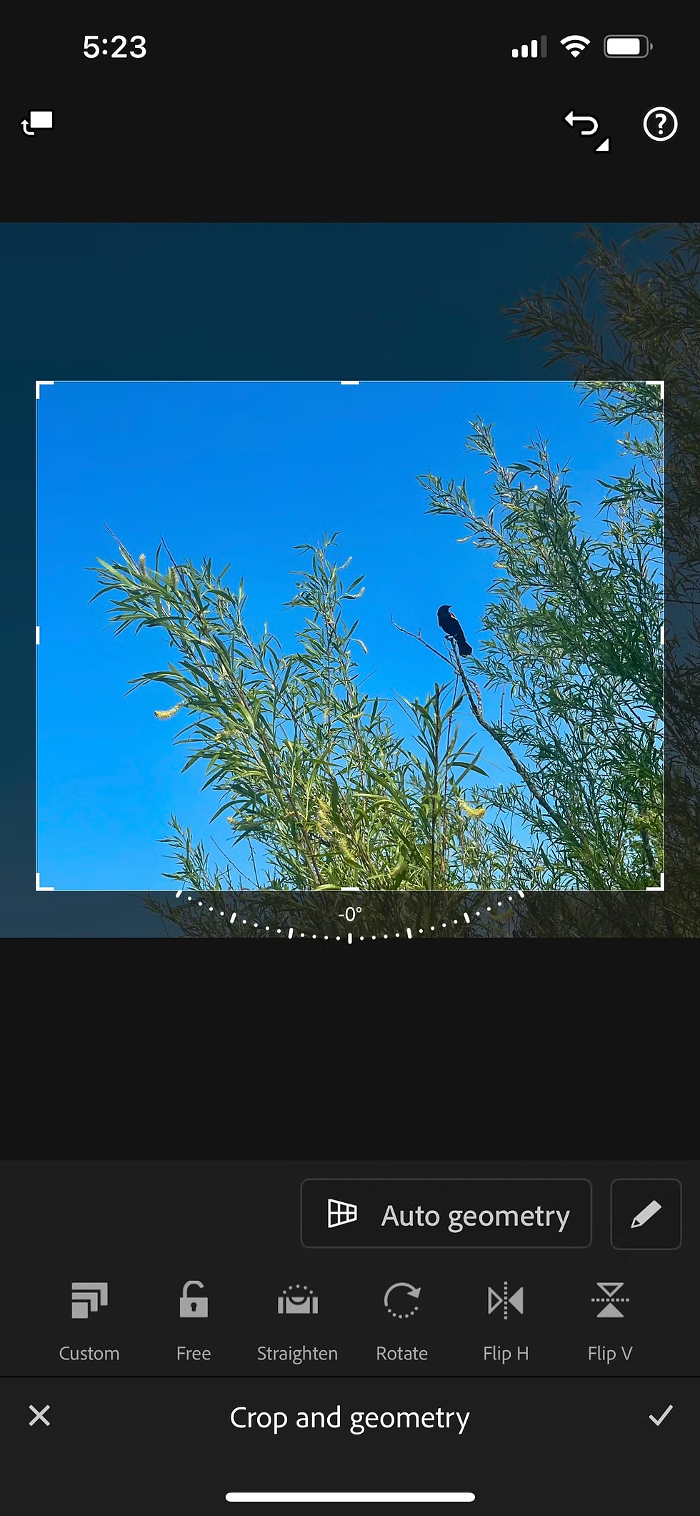 ree