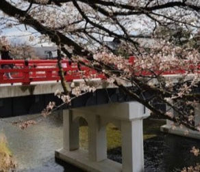 Japão!