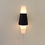Miniature : Black and White Pair of Sconces, circa 1950, France.