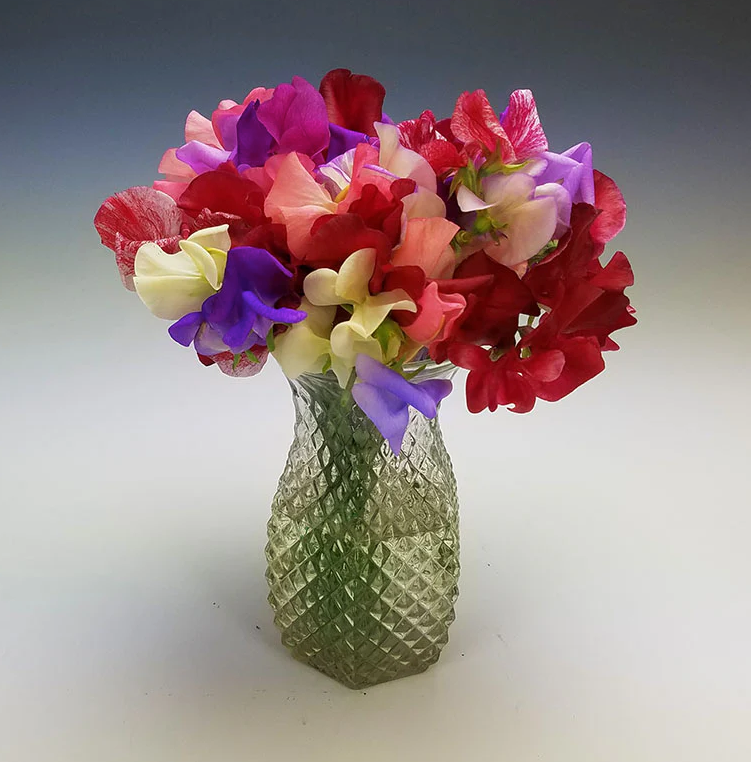 Thumbnail: Sweet Pea 'Incense Mix '