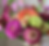 Growing a Cut Flower Garden: Fall Steps for Future Success