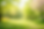 green background.png