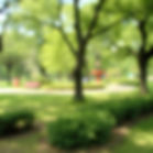 blurry background of a park or similar setting without a yellow tone..jpg