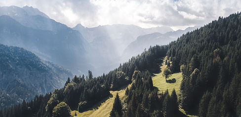Allgau countryside; photo by Peter Ford on Unsplash