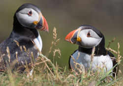 © Lauren Tucker Photography (23 of 273)